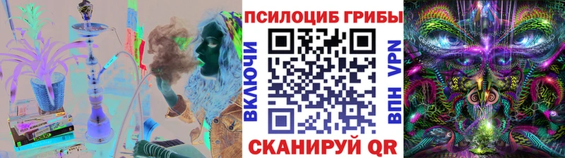 как найти закладки  Себеж  Псилоцибиновые грибы прущие грибы 