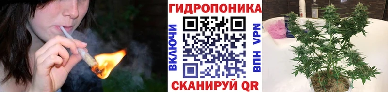 Канабис семена  Себеж 